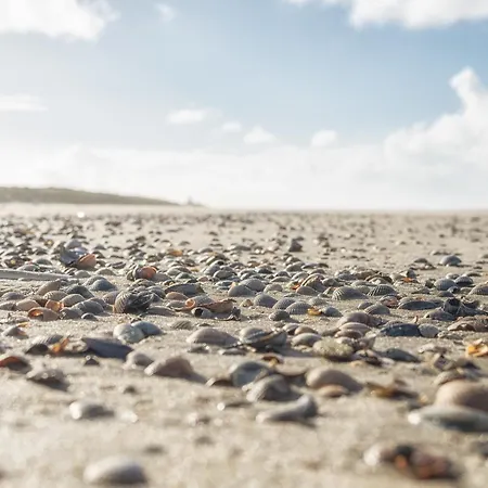 Duenenrose Spiekeroog