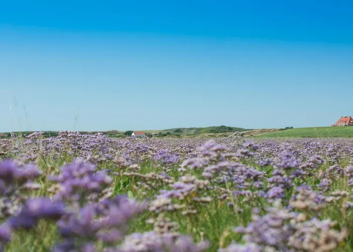 Duenenrose Шпикерог