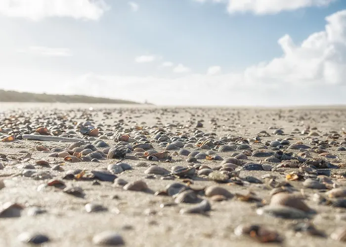 Duenenrose Шпикерог