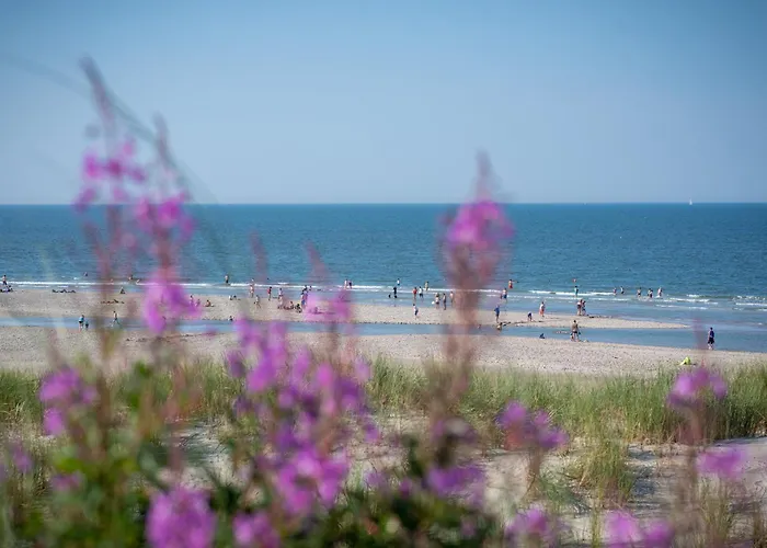 Дом отдыха Duenenrose *