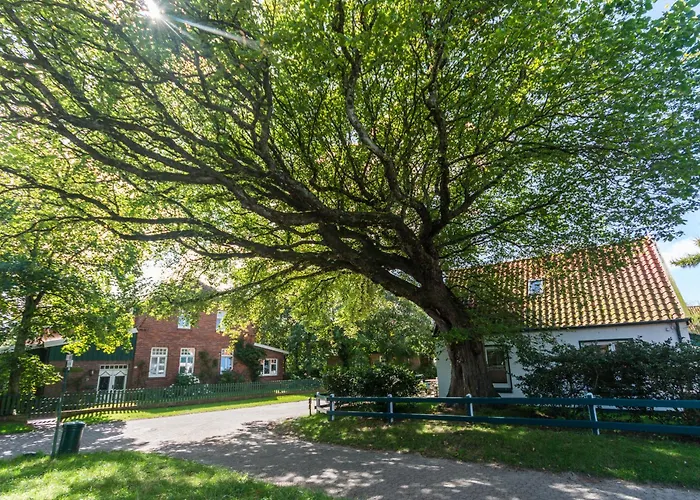 Duenenrose * Шпикерог